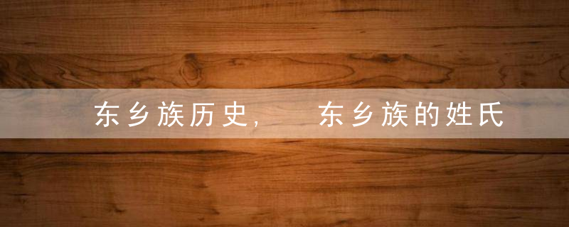 东乡族历史, 东乡族的姓氏有哪些